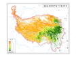 Grassland yield estimation product in Qinghai-Tibet Plateau (2000-2019)