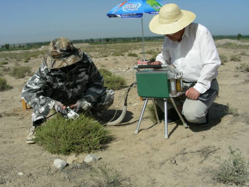 The data of photosynthetic organ level gas exchange measurements of desert plants (2012)