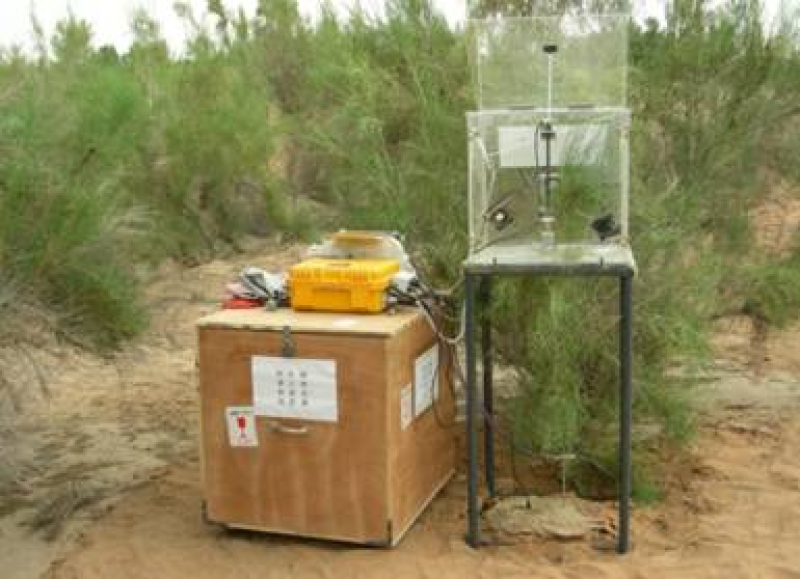 The data of canopy photosynthesis measurements of desert plants in Heihe River basin (2012)