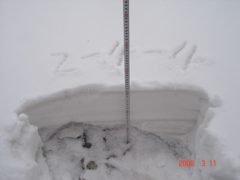 WATER: Dataset of intensive snow parameter measurements in the Binggou watershed foci experimental area on Mar. 11, 2008