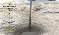 申扎高寒草地土壤剖面水热碳数据集（2019-2020）