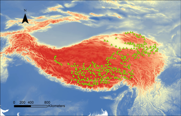 Pollen percentage dataset for 24 common taxa of 318 surface-soil samples on the Tibetan Plateau