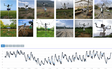 黑河大满站植物物候自动观测仪示范数据集（2019-2021）