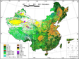 Land cover products of China