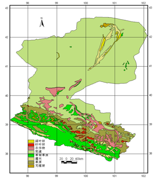 黑河流域生态系统优势种的生理生态学参数集（2013）