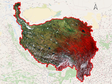 青藏高原MODIS Terra地表反射率产品（2000-2019）