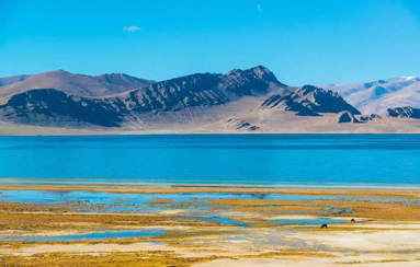青藏高原与西北干旱区33个湖泊表层沉积植物DNA数据