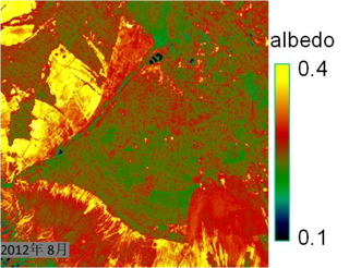 Albedo dataset in 30m-resolution in the Heihe River basin (2012)