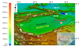 塔里木盆地罗布泊钻孔同位素/青藏高原野外地质考察记录及照片数据集